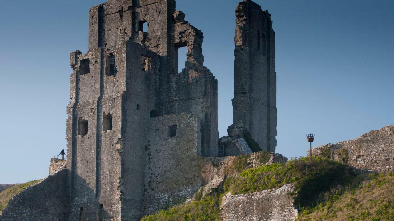 Ammonite Bed & Breakfast Corfe Castle Εξωτερικό φωτογραφία