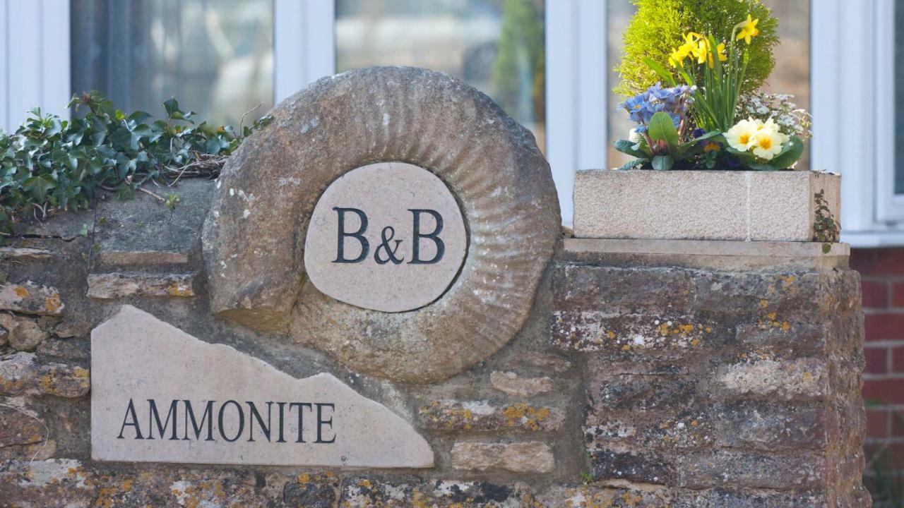 Ammonite Bed & Breakfast Corfe Castle Εξωτερικό φωτογραφία