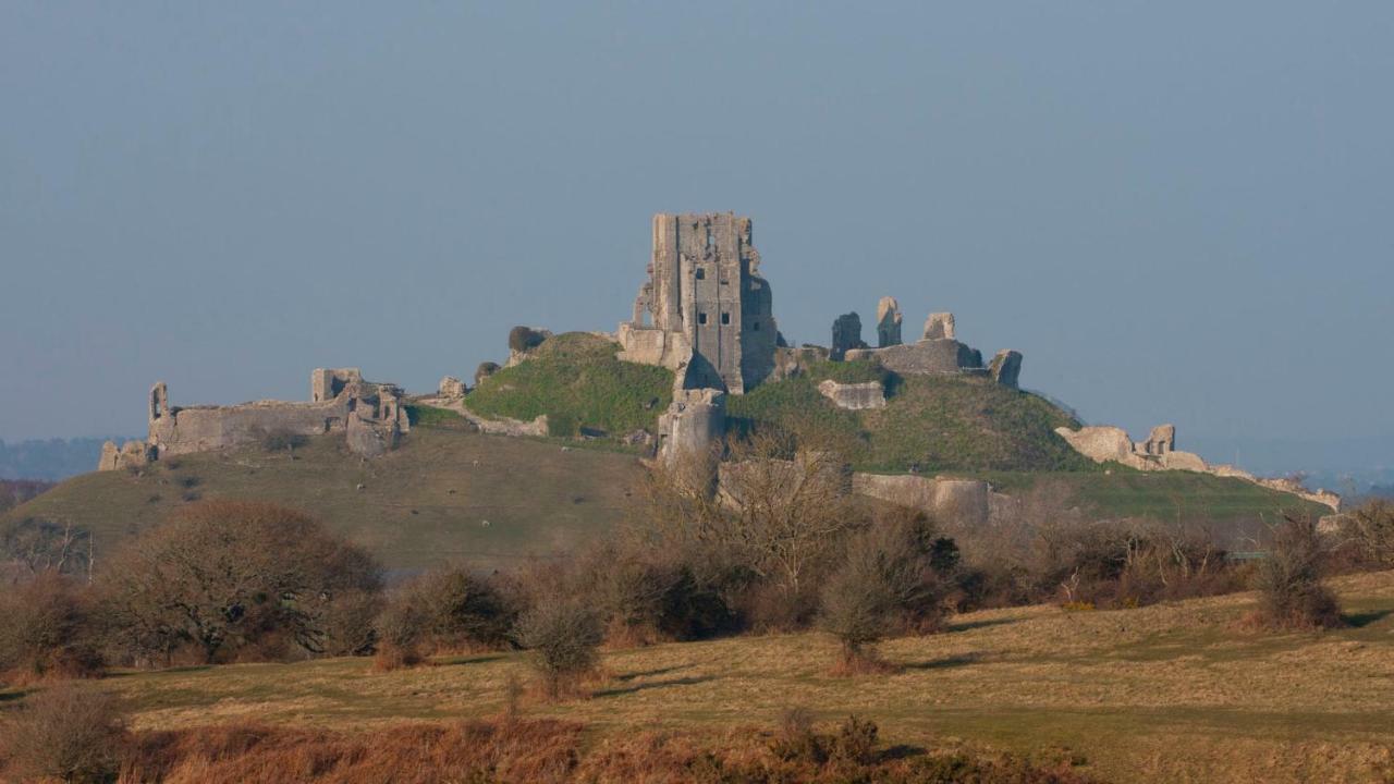 Ammonite Bed & Breakfast Corfe Castle Εξωτερικό φωτογραφία
